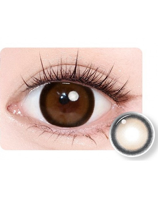 Timido〈媞蜜多&蜜緹〉彩色日拋隱形眼鏡【10片裝】5盒送1盒共6盒