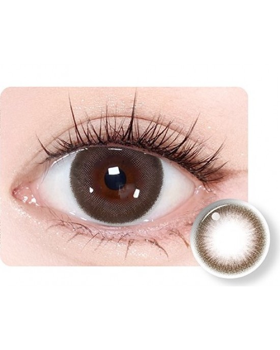 Timido〈媞蜜多&蜜緹〉彩色日拋隱形眼鏡【10片裝】5盒送1盒共6盒