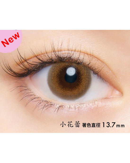 晶碩〈CRUUM&Loveil〉彩色日拋【10片裝】6盒送2盒共8盒