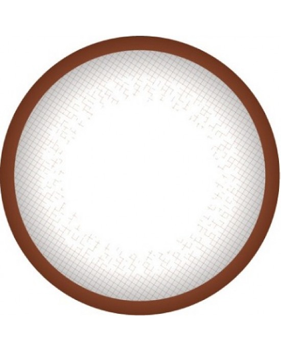 帝康彩色日拋軟性隱形眼鏡【10片裝】6盒送2盒共8盒